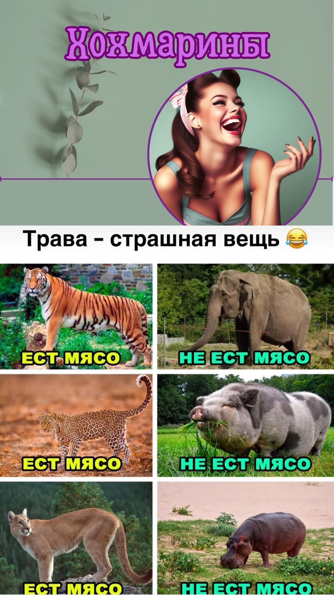 Хохмарины2