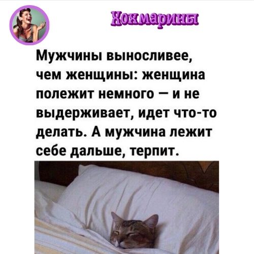 Хохмарины 2-14