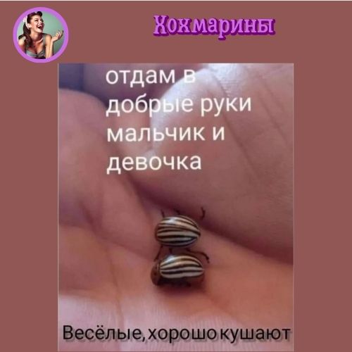 Хохмарины 2-9